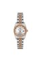 SW135T-02SR Women's Wristwatch