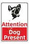 Caution Dog Present 25X35 Cm. Hair Sheet