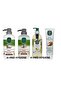 Gluten-Free Coconut Series, Shampoo, Shower Gel, Liquid Soap and Toothpaste, H-Pro Hygiene
