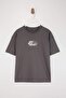 Anthracite Oversized /Wide Cut Printed 100% Cotton T-Shirt Tmnss23Ts00261