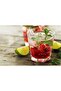 Casablanca 6-Piece Water Glass 52714