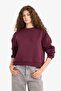 Thick Basic Sweatshirt (25 Wn) - 3