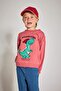 Crew Neck Dinosaur Printed Soft Fuzzy Inside Sweatshirt Baby Boy F4531A525Au - 3