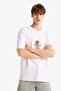 100% Cotton Boxy Fit Crew Neck Printed Short Sleeve T-Shirt F4534Ax25Hs - 4