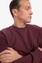 100% Cotton Basic Sweatshirt E8339Ax25Au - 3