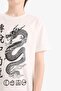 2-Piece Set Printed Short-Sleeved T-Shirt Elastic Waist Shorts Boys F1230A825Sm - 5