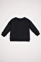 Baby Boy Crew Neck Printed Soft Furry Inside Sweatshirt D1264A524Wn - 3