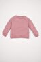 Baby Girl Crew Neck Printed Soft Furry Inside Sweatshirt D7207A524Wn - 5
