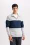 Comfort Regular Fit Comfortable Fit Stand Collar Zippered Striped Thick Sweatshirt D2401Ax24Au - 6
