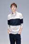Comfort Regular Fit Comfortable Fit Stand Collar Zippered Striped Thick Sweatshirt D2401Ax24Au - 3