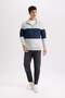 Comfort Regular Fit Comfortable Fit Stand Collar Zippered Striped Thick Sweatshirt D2401Ax24Au - 5