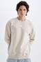 Boxy Fit Crew Neck Printed Sweatshirt W5990Az21Au
