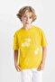 Boys Oversize Fit Crew Neck Printed Short Sleeve T-Shirt C5000A824Hs - 4