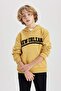 Boy's Printed Hooded Thick Sweatshirt B9000A823Cw