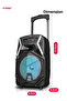 Multimedia Portable Trolley Speaker - TS25B, Usb/aux/bluetooth/wireless Mic & Dj Led Lightfunction - 8