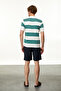 Men's Green Polo Collar Striped T-Shirt - 3