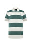 Men's Green Polo Collar Striped T-Shirt - 4