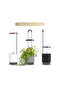 HydroVase - White Hydroponics Growing System - White - 3