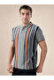 Striped Contrast Tipping Regular Fit Sage Polo T-shirt - 2