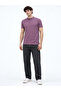 Solid Henley Neck Regular Fit Grape T-shirt - 5