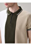 Striped Regular Fit Multicolor Polo T-shirt - 4