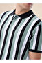 Striped Regular Fit Multicolor Polo T-shirt - 4