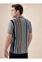 Striped Contrast Tipping Regular Fit Sage Polo T-shirt - 3