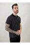 Striped Regular Fit Black Polo T-shirt - 2