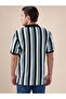 Striped Regular Fit Multicolor Polo T-shirt - 3