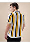 Vertical Stripe Knitted Regular Fit Sunflower Polo T-shirt - 3