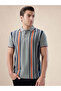 Striped Contrast Tipping Regular Fit Sage Polo T-shirt