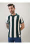 Vertical Stripe Regular Fit Green Polo T-shirt