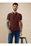 Waffle Textured Regular Fit Rust Polo T-shirt - 6