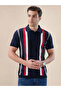 Striped Regular Fit Navy Polo T-shirt - 6
