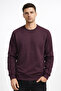Men's Plum Basic Sweatshirt Crew Neck Slim Fit Casual Sweatshirt Pack of Cotton