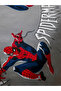 Lcw Home Mixed Spider-Man Printed Single Duvet Cover Set - 5