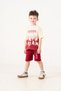 3-4-5-6 Years 100% Cotton Shorts Suit for Boys - 4