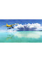 Microsoft Flight Simulator 2024 - Playstation 5 - 5