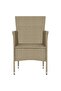 Garden Dining Chairs 2 pcs Poly Rattan Beige - 7