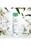 Imperial Jasmine Refreshing Essential Oil Scented Body Spray (150ml) - 2
