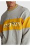 Unisex grey melange stranger things Color Block sweatshirt - 7