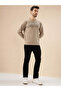 Chest Typography Regular Fit Three Thread Fleece Beige Sweatshirt - 5