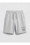 Lcw Kids Gray Boys' Playstation Printed Shorts