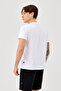100% Cotton Basic T-Shirt – Casual Comfortable Unisex T-Shirt - 4