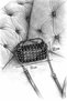 Studded Black Women's Shoulder Bag Chain Strap Pack Mini Handbag and Shoulder Bag Daily Stylish Women's Bag - 2