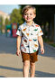 Boys Dinosaur Graphic Print Shirt and Shorts Set - 3