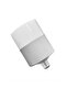 30 Watt Oval Torch Ampul
