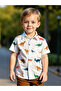 Boys Dinosaur Graphic Print Shirt and Shorts Set - 4
