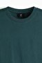 Cotton T-shirt Regular Fit - 7