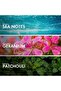 AROMATIC GERANIUM Eau De Parfum 50ml For Men, Long Lasting Perfume, Inspired By-ACQUA DI GIÒ PROFUMO - 4